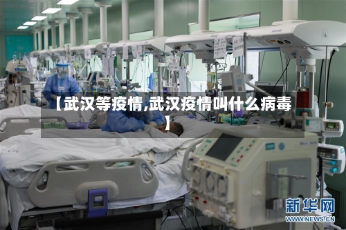 【武汉等疫情,武汉疫情叫什么病毒】-第1张图片