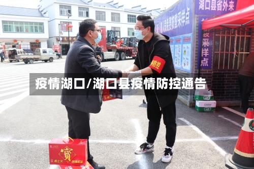 疫情湖口/湖口县疫情防控通告-第2张图片