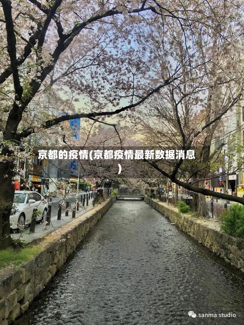 京都的疫情(京都疫情最新数据消息)-第1张图片