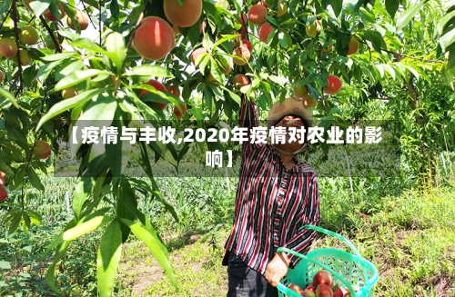 【疫情与丰收,2020年疫情对农业的影响】-第1张图片