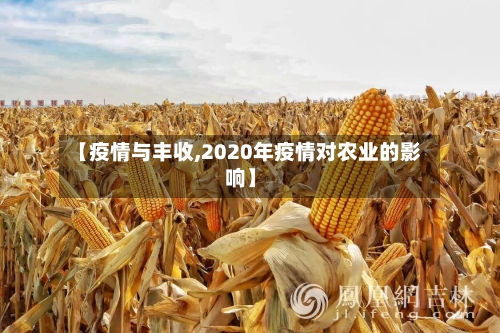 【疫情与丰收,2020年疫情对农业的影响】-第2张图片