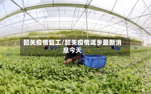 韶关疫情复工/韶关疫情返乡最新消息今天-第2张图片