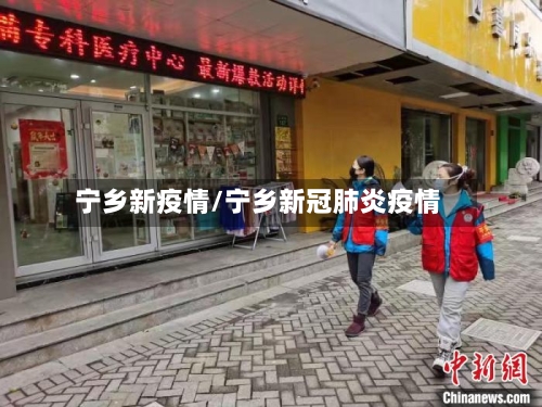 宁乡新疫情/宁乡新冠肺炎疫情-第1张图片