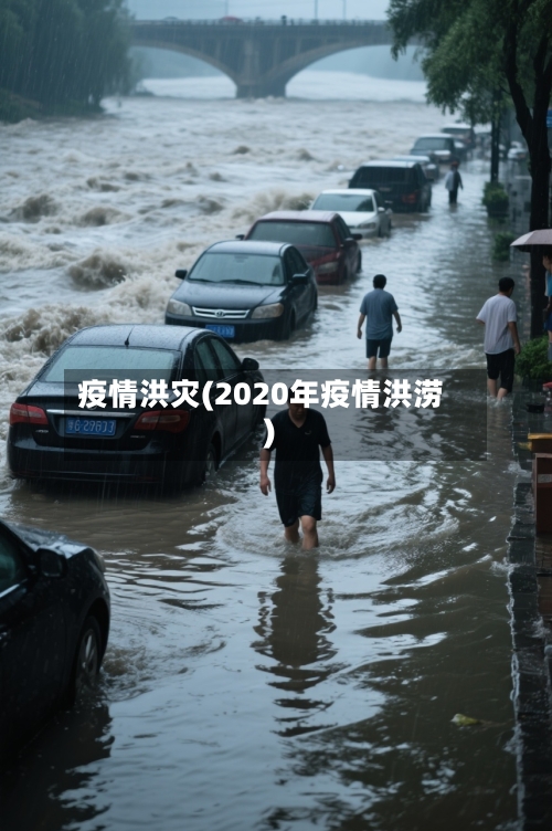 疫情洪灾(2020年疫情洪涝)-第1张图片