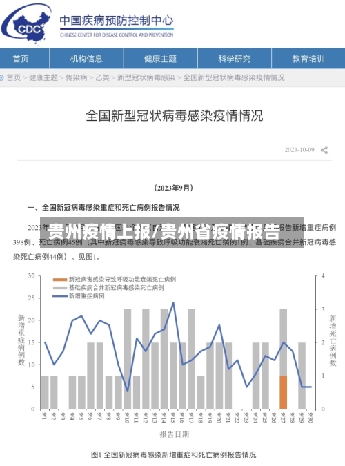 贵州疫情上报/贵州省疫情报告-第2张图片