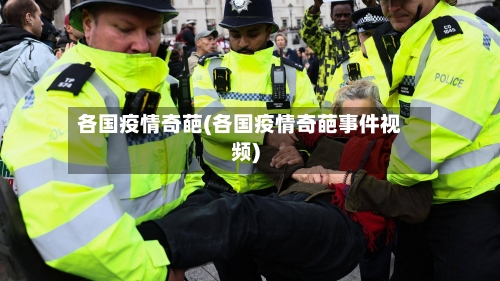 各国疫情奇葩(各国疫情奇葩事件视频)-第2张图片