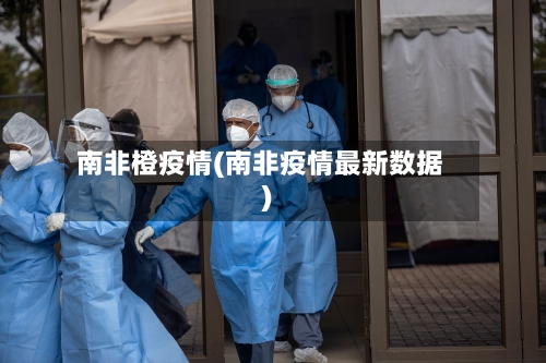 南非橙疫情(南非疫情最新数据)-第2张图片