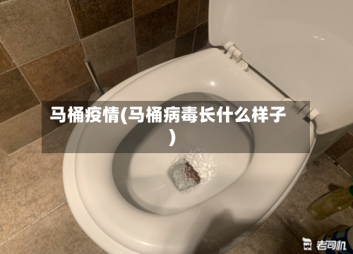 马桶疫情(马桶病毒长什么样子)-第2张图片