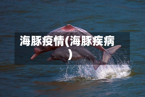 海豚疫情(海豚疾病)-第2张图片