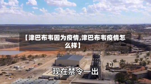 【津巴布韦因为疫情,津巴布韦疫情怎么样】-第1张图片