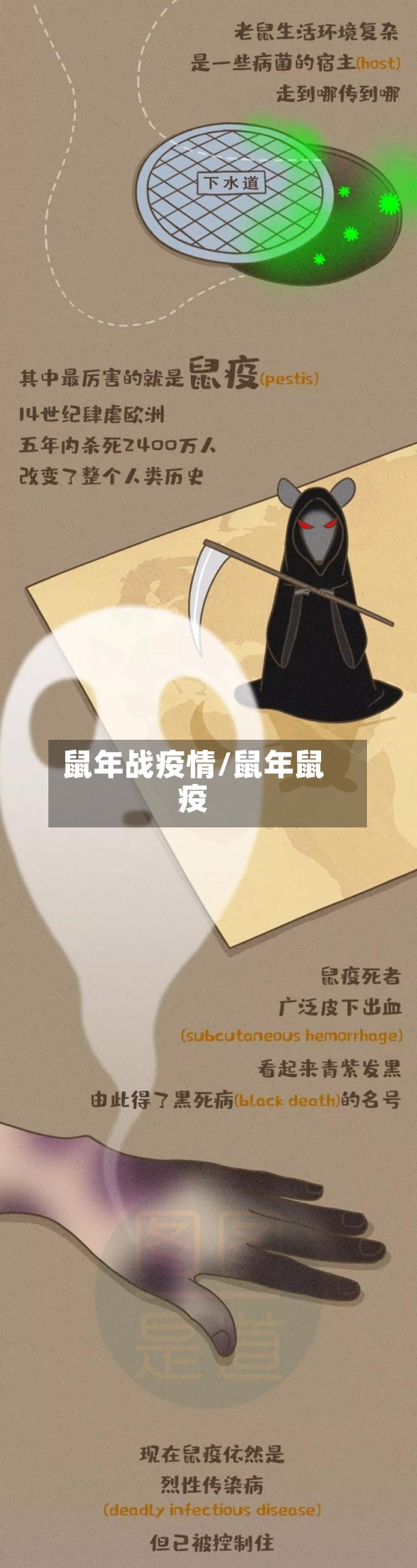 鼠年战疫情/鼠年鼠疫-第1张图片