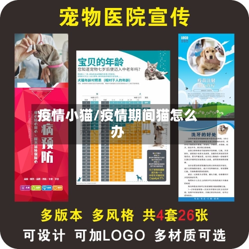 疫情小猫/疫情期间猫怎么办-第3张图片