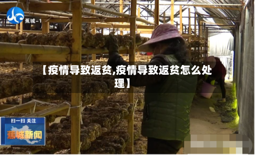 【疫情导致返贫,疫情导致返贫怎么处理】-第1张图片