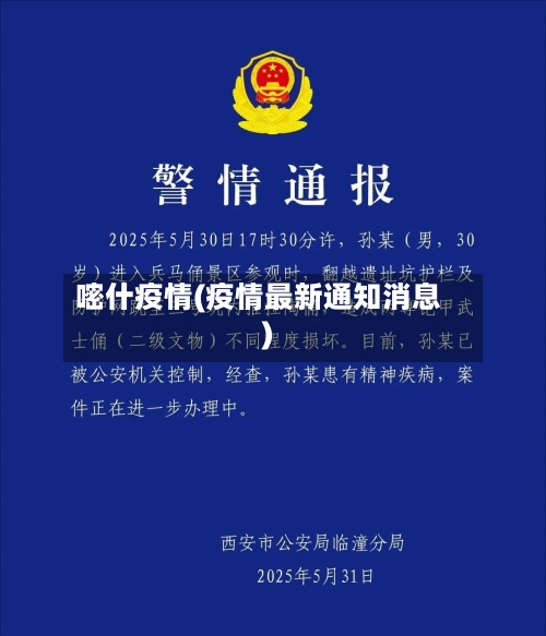 嘧什疫情(疫情最新通知消息)-第2张图片