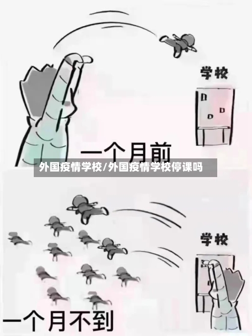外国疫情学校/外国疫情学校停课吗-第2张图片