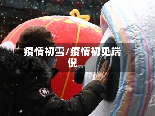 疫情初雪/疫情初见端倪-第1张图片