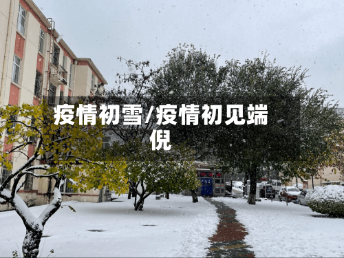 疫情初雪/疫情初见端倪-第2张图片