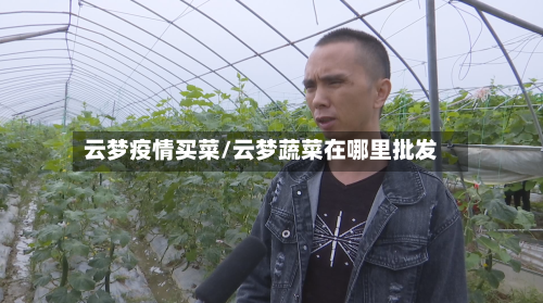 云梦疫情买菜/云梦蔬菜在哪里批发-第2张图片
