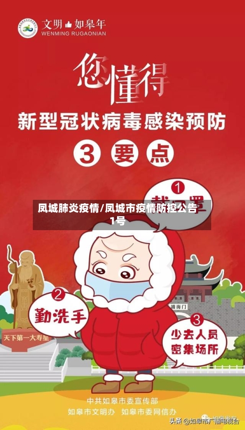 凤城肺炎疫情/凤城市疫情防控公告1号-第2张图片