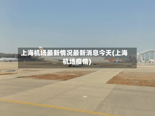 上海机场最新情况最新消息今天(上海 机场疫情)-第2张图片