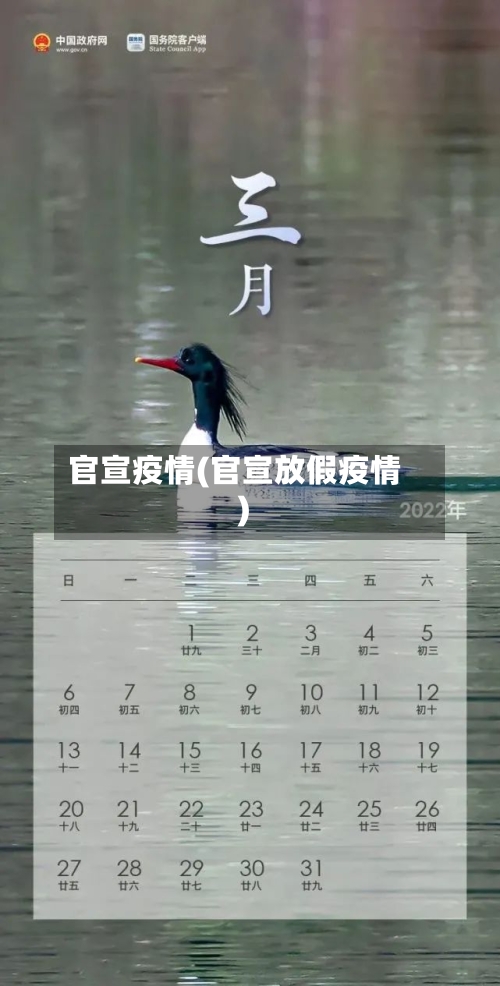 官宣疫情(官宣放假疫情)-第2张图片