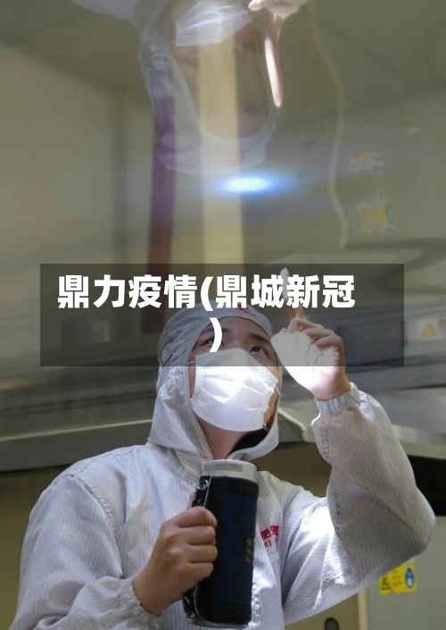 鼎力疫情(鼎城新冠)-第2张图片