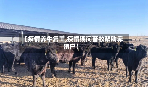 【疫情养牛复工,疫情期间畜牧帮助养殖户】-第2张图片