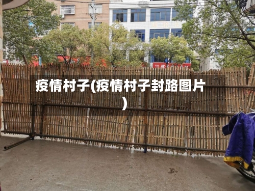 疫情村子(疫情村子封路图片)-第2张图片