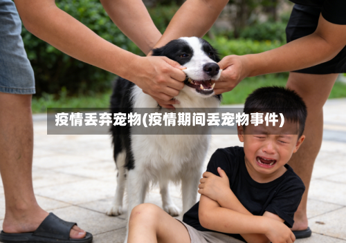 疫情丢弃宠物(疫情期间丢宠物事件)-第1张图片