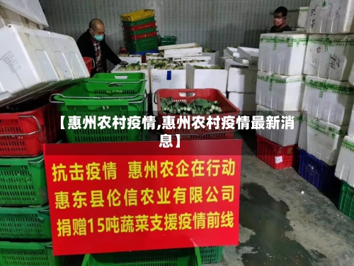 【惠州农村疫情,惠州农村疫情最新消息】-第2张图片