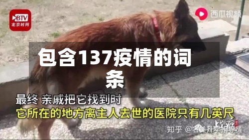 包含137疫情的词条-第1张图片