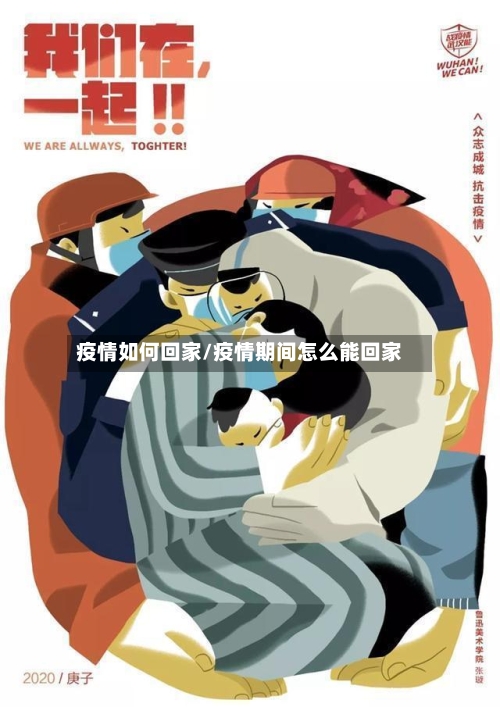 疫情如何回家/疫情期间怎么能回家-第2张图片