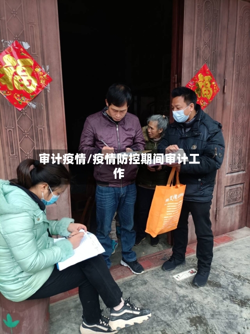 审计疫情/疫情防控期间审计工作-第2张图片