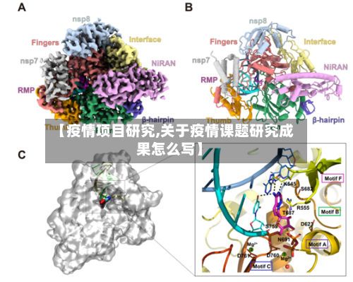 【疫情项目研究,关于疫情课题研究成果怎么写】-第2张图片