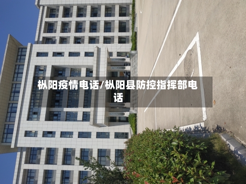 枞阳疫情电话/枞阳县防控指挥部电话-第3张图片