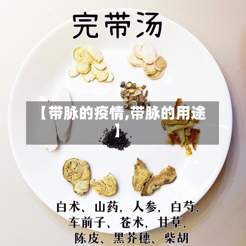 【带脉的疫情,带脉的用途】-第2张图片