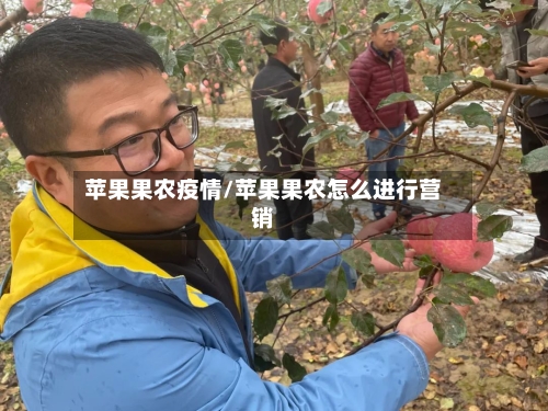 苹果果农疫情/苹果果农怎么进行营销-第2张图片