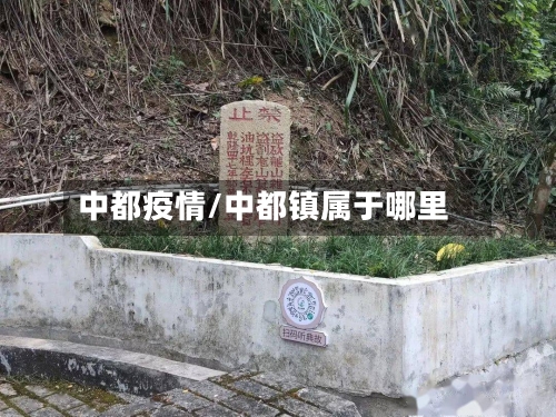 中都疫情/中都镇属于哪里-第2张图片