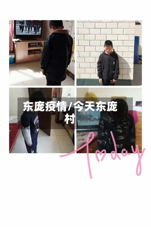 东庞疫情/今天东庞村-第2张图片