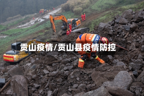 贡山疫情/贡山县疫情防控-第3张图片