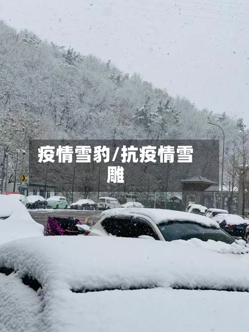 疫情雪豹/抗疫情雪雕-第2张图片