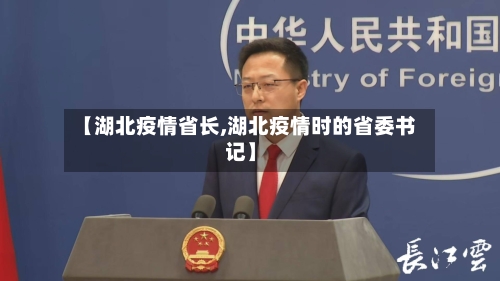 【湖北疫情省长,湖北疫情时的省委书记】-第2张图片