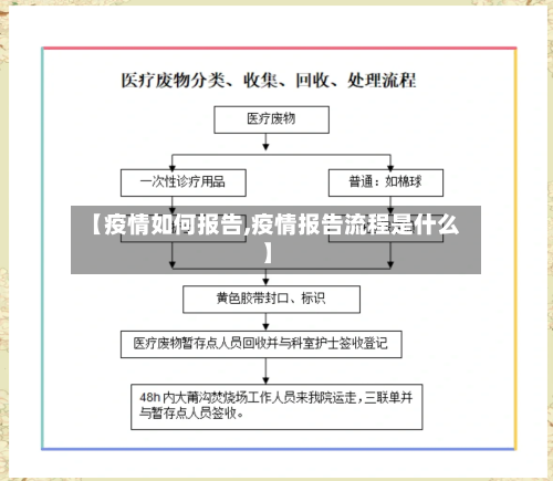 【疫情如何报告,疫情报告流程是什么】-第1张图片
