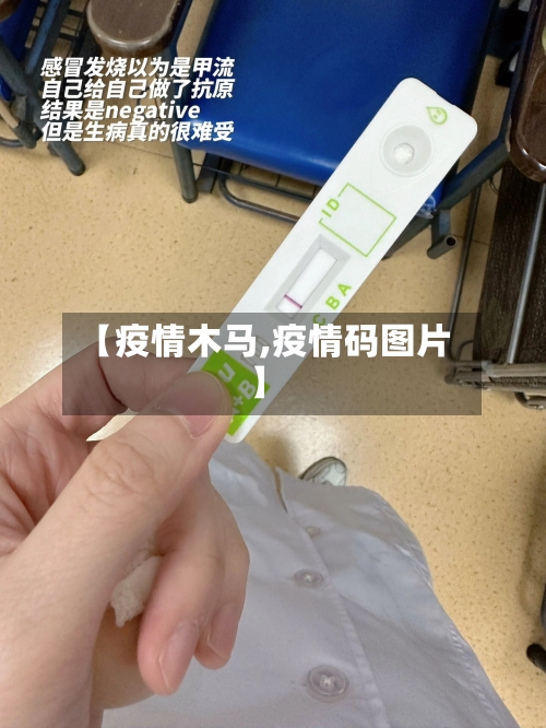 【疫情木马,疫情码图片】-第1张图片