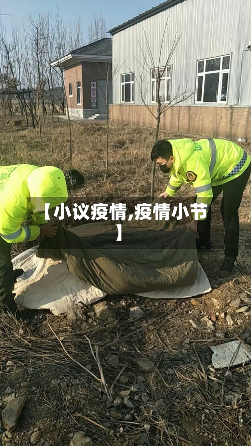 【小议疫情,疫情小节】-第1张图片