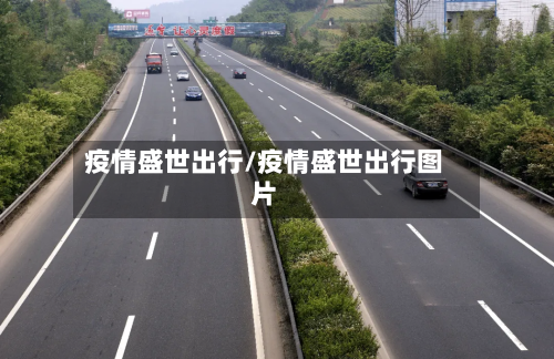 疫情盛世出行/疫情盛世出行图片-第1张图片