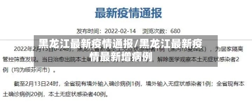 黑龙江最新疫情通报/黑龙江最新疫情最新增病例-第1张图片