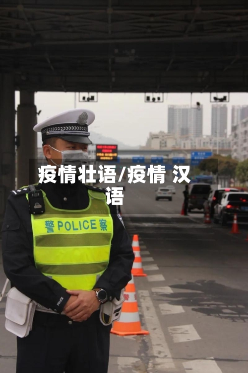 疫情壮语/疫情 汉语-第2张图片