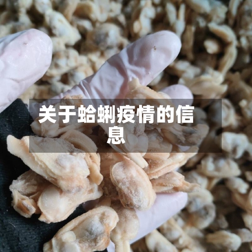 关于蛤蜊疫情的信息-第2张图片