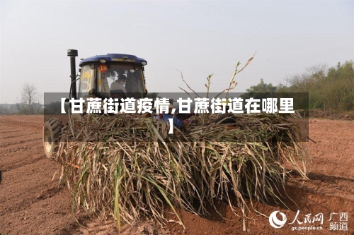 【甘蔗街道疫情,甘蔗街道在哪里】-第2张图片